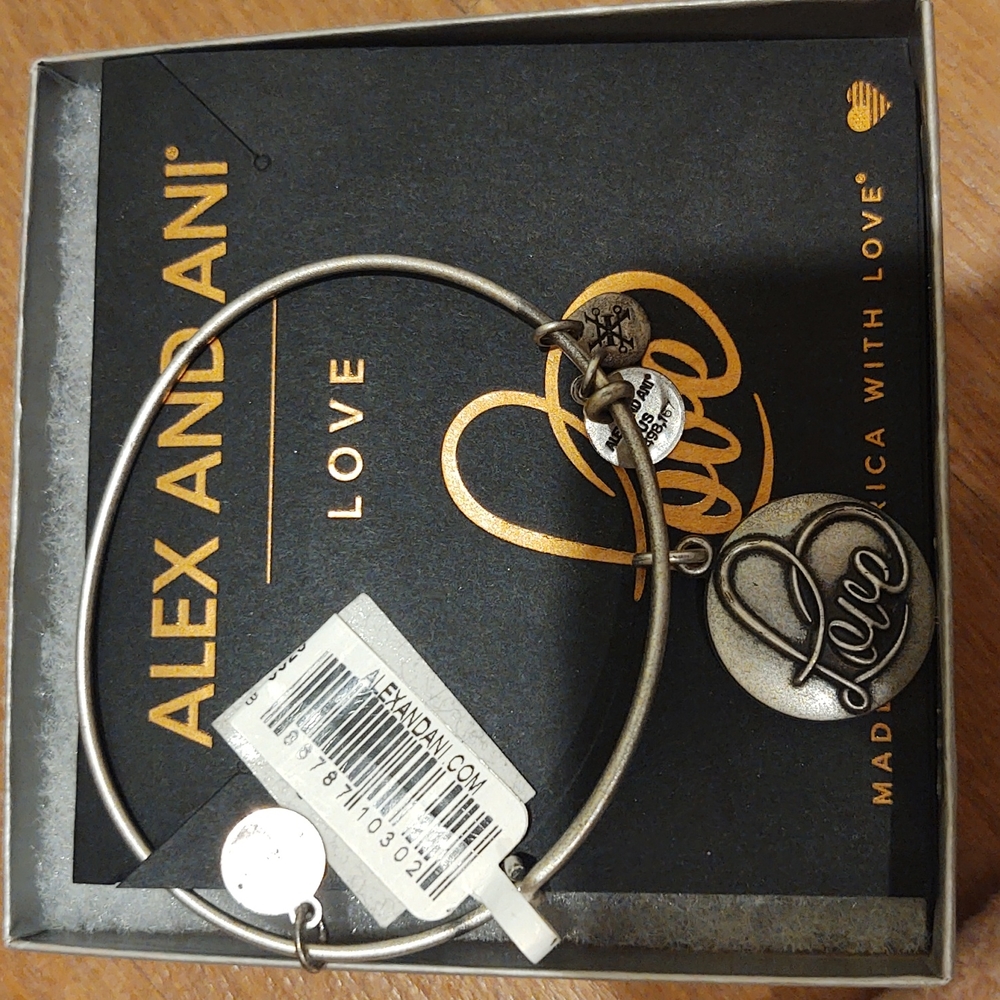 Alex and Ani LOVE bracelet